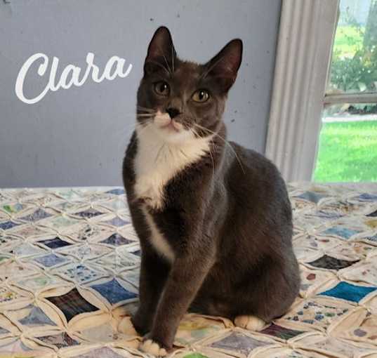 Photo of Clara #dainty-green-eyed-beauty