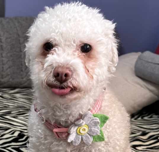 Photo of Lucy