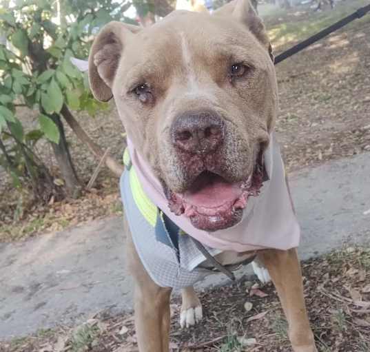 Photo of CHATA