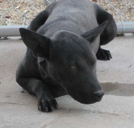 Photo of Nuri
