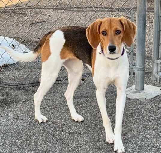Photo of STELLA