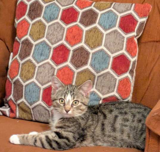 Photo of Osiris