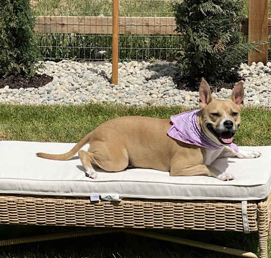 Photo of Nala