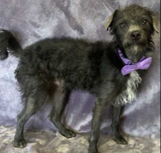 Photo of Fritz