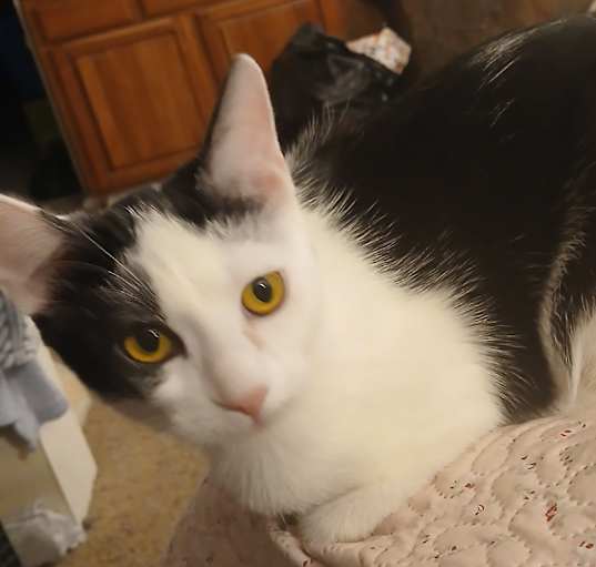 Photo of Salty