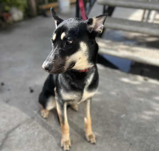 Photo of Nani