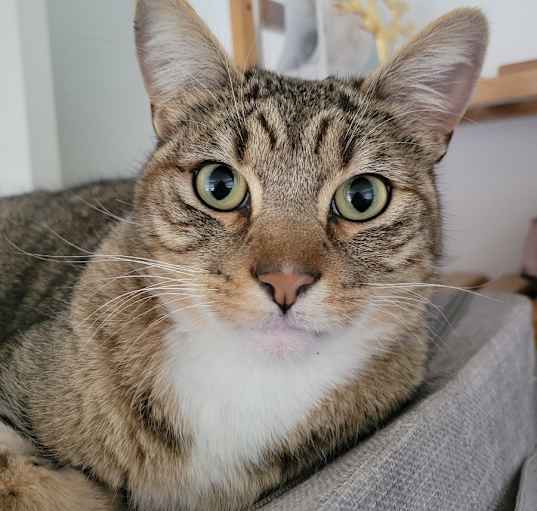 Photo of Clyde