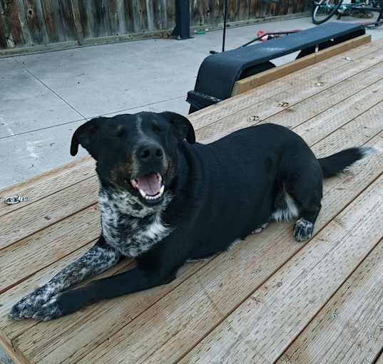 Photo of Tahoe