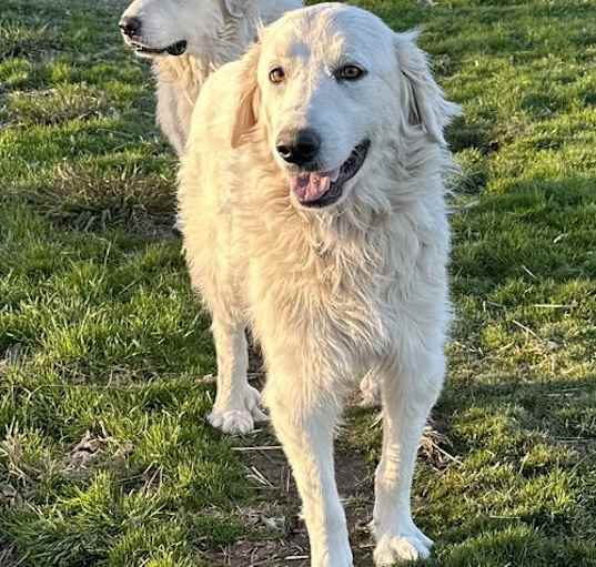 Photo of Sophie