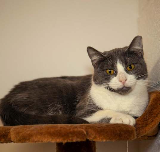 Photo of Twinkle