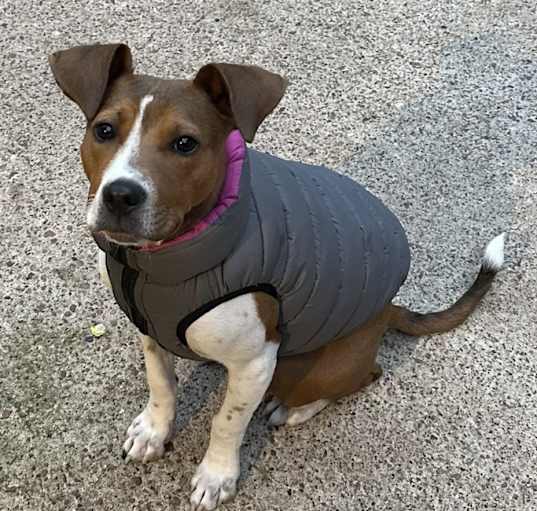 Photo of Oliver