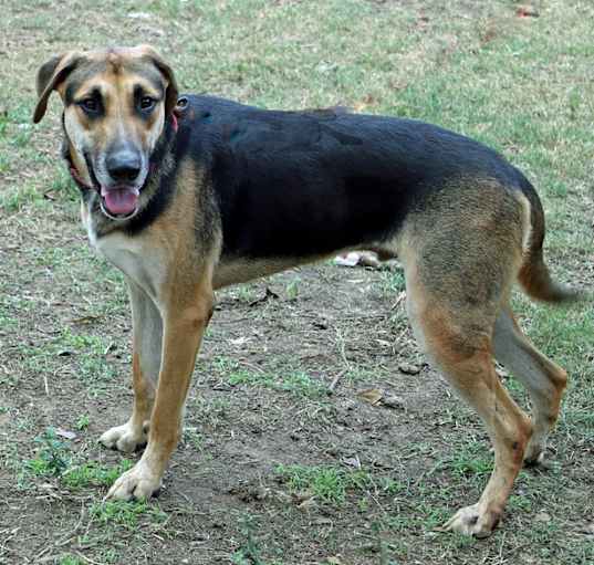 Photo of WINSTON