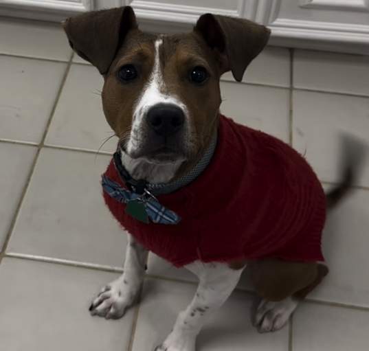 Photo of Oliver