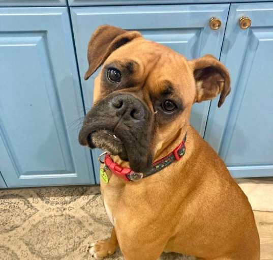 Photo of Chloe