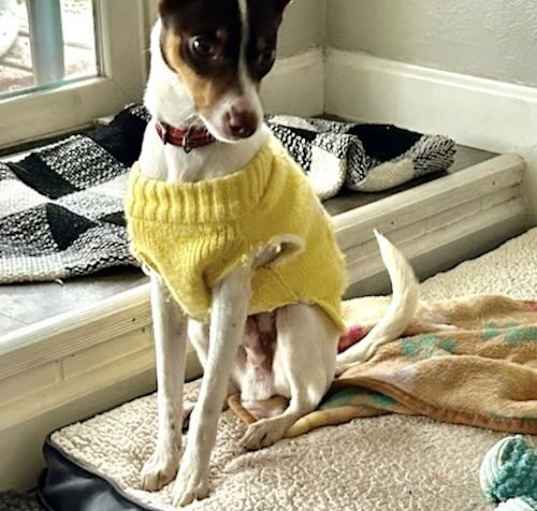 Photo of Jasper