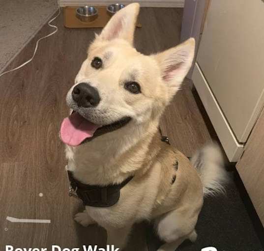 Photo of Denver