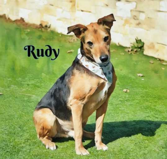 Photo of Rudy