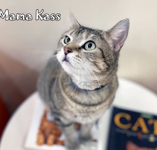Photo of Mama Kass