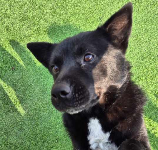 Photo of bolt