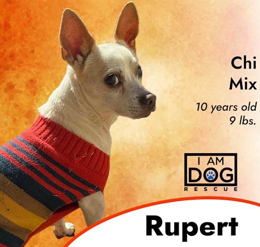 Photo of Rupert