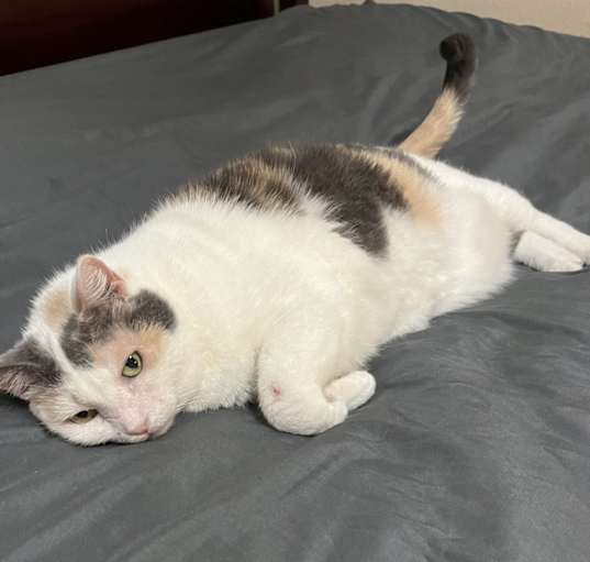 Photo of Bridget