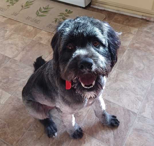 Photo of Onyx Emilio