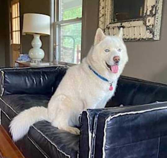 Photo of Astro