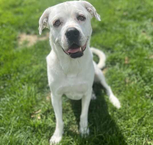 Photo of Snowflake