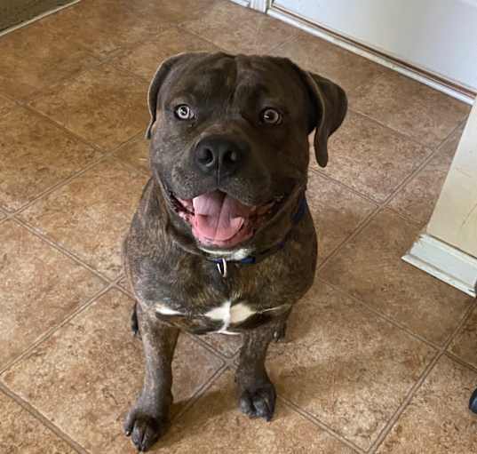 Photo of Blue