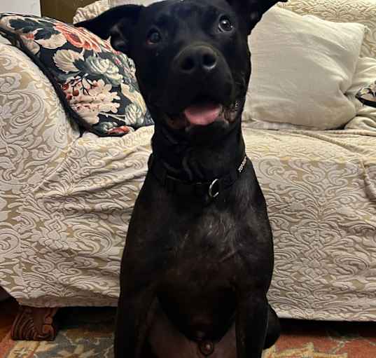 Photo of Kino