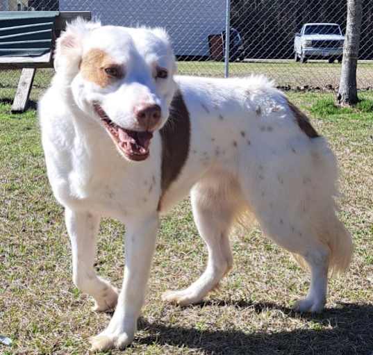 Photo of Delores