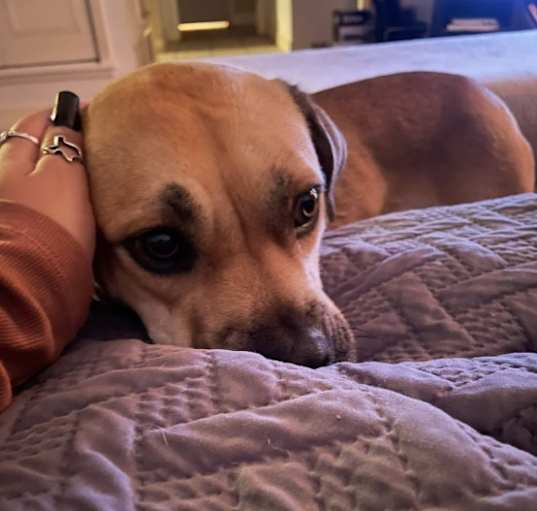 Photo of Jazzy