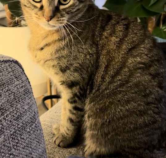 Photo of Sammy