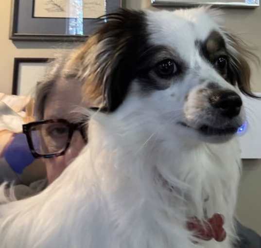 Photo of JackJack