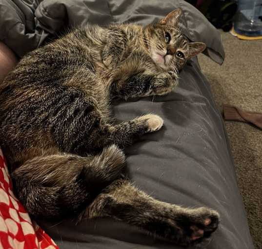 Photo of Cece