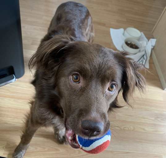Photo of Hershey