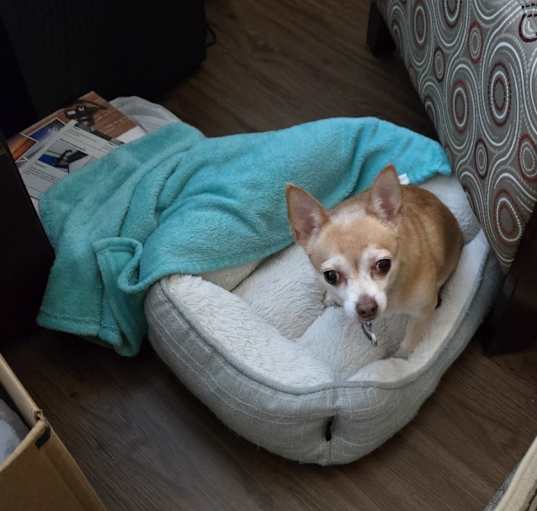 Photo of Jax