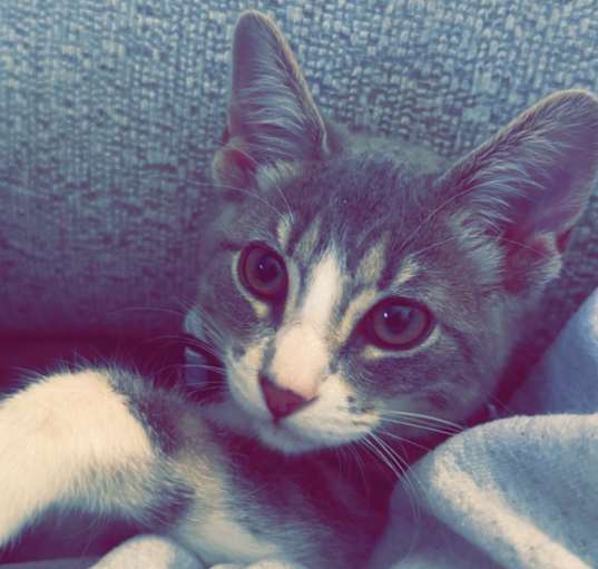 Photo of Callie and Zoe