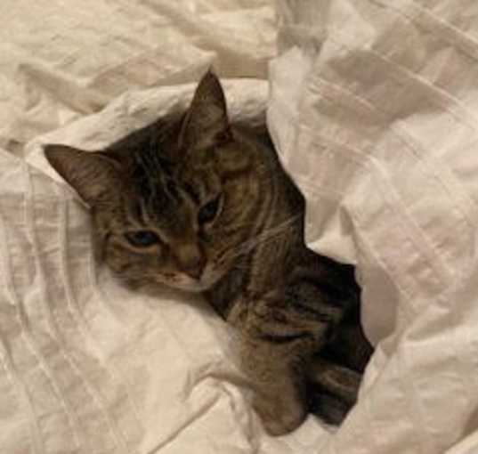 Photo of Eva