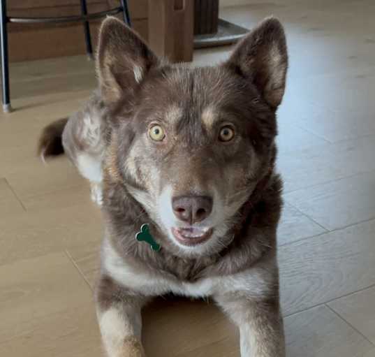 Photo of Sasha