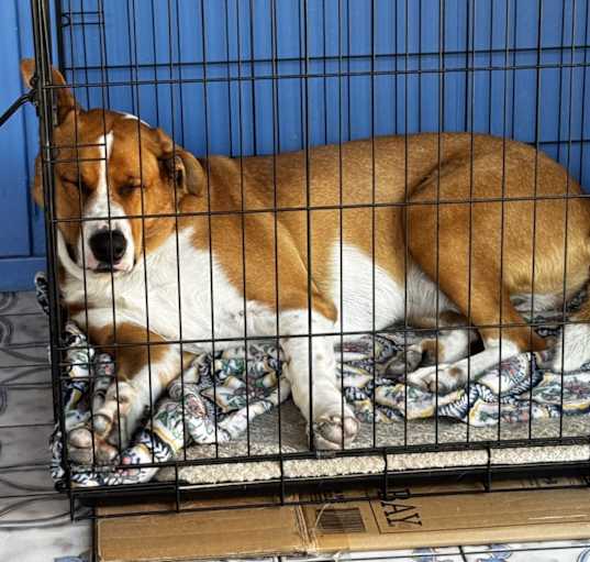 Photo of Raider
