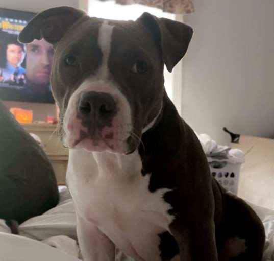 Photo of Missy