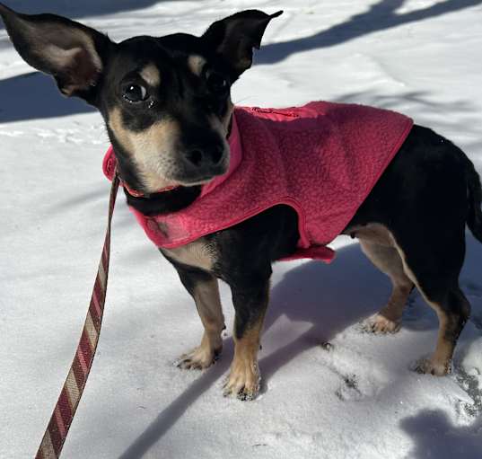 Photo of Nellie