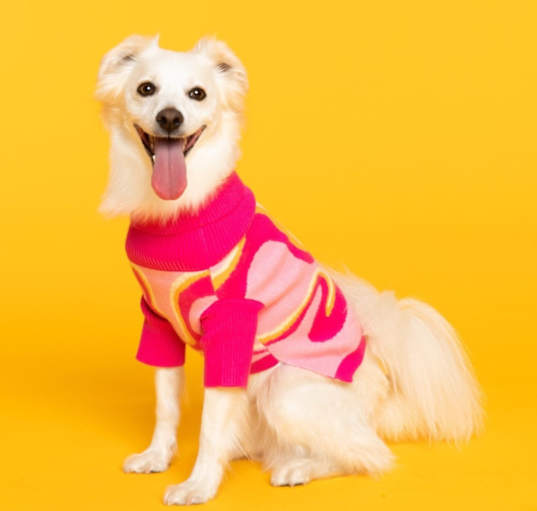 Photo of Dottie