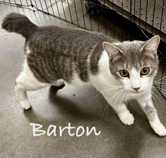 Photo of Barton
