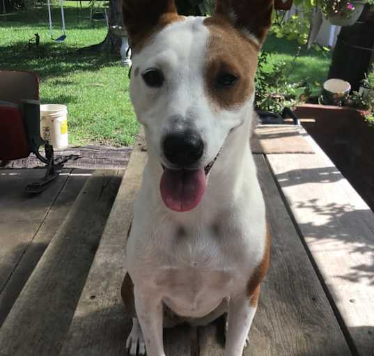 Photo of Leia