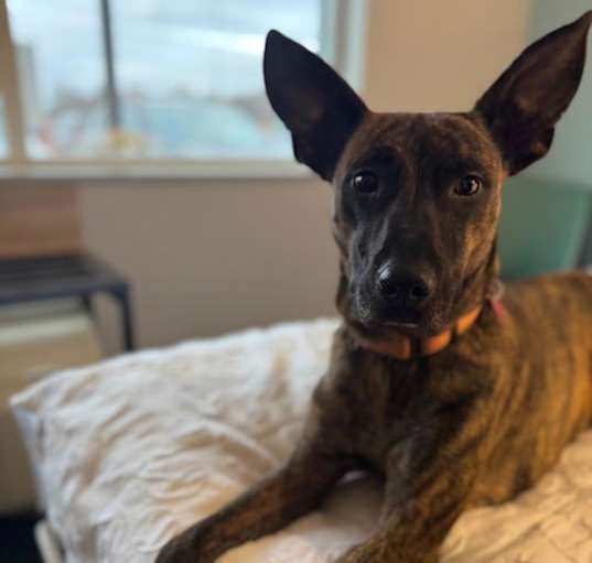 Photo of Emmy