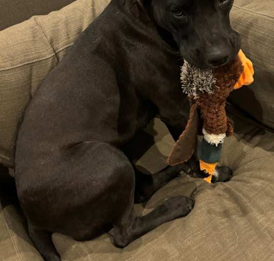 Photo of Leela