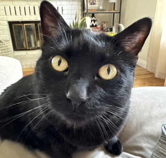 Photo of Edward