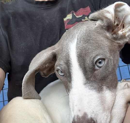 Photo of Sally